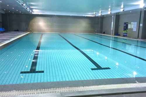 游泳池建設需要多少錢，大型泳池一般要投入500萬元