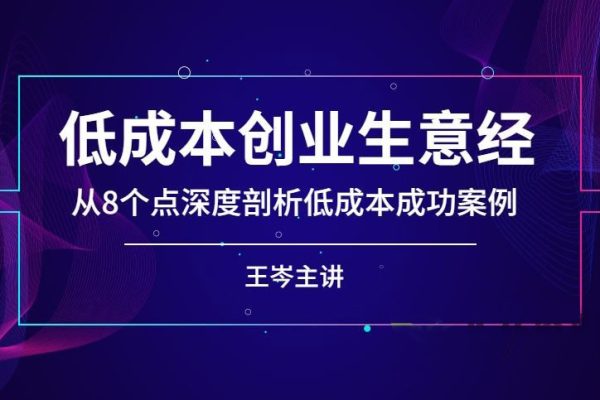 王岑-低成本創(chuàng)業(yè)生意經(jīng)-從8個(gè)點(diǎn)深度剖析低成本成功案例