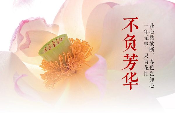 葛宏軍-不負芳華，花卉攝影技法完全寶典后期課程