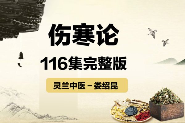 靈蘭－婁紹昆：《65條學(xué)完一本傷寒論》116集完整版