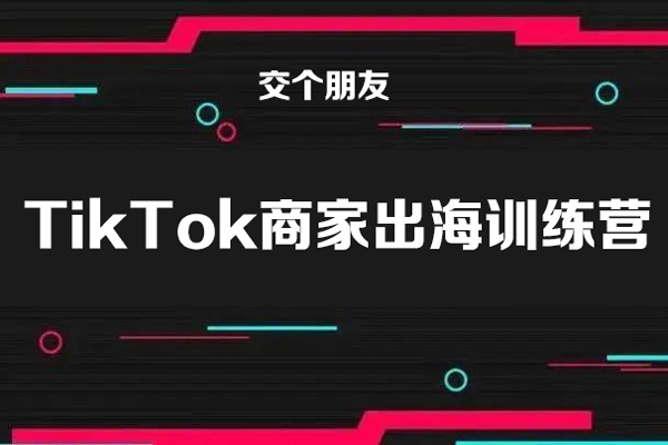 【交個朋友電商學(xué)苑】TikTok商家出海訓(xùn)練營（視頻6講）