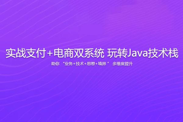 實(shí)戰(zhàn)支付+電商雙系統(tǒng) 玩轉(zhuǎn)Java技術(shù)棧