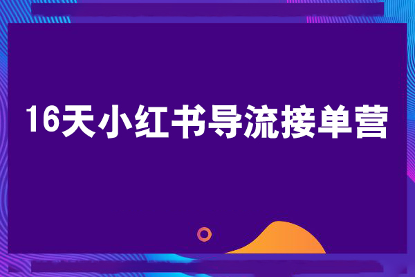 16天小紅書導流接單營