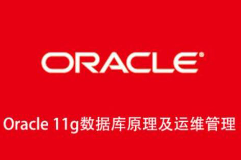Oracle 11g數(shù)據(jù)庫原理及運維管理