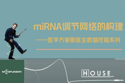 數(shù)據(jù)挖掘—miRNA調(diào)節(jié)網(wǎng)絡(luò)的構(gòu)建