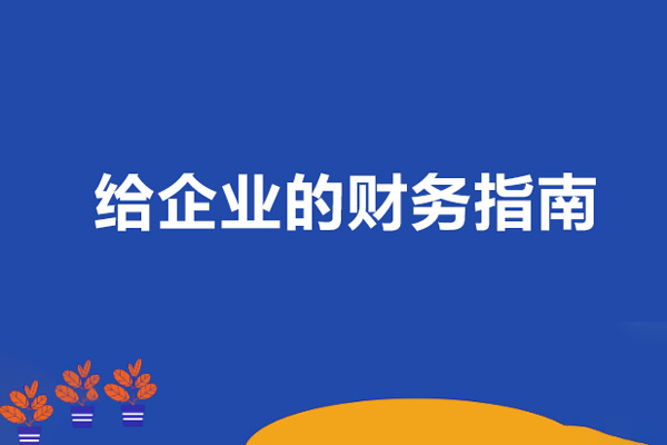 李薇薇給企業(yè)的財(cái)務(wù)指南