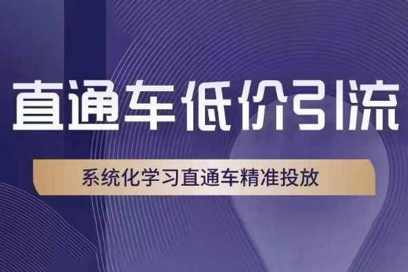 直通車低價(jià)引流課，系統(tǒng)化學(xué)習(xí)直通車精準(zhǔn)投放