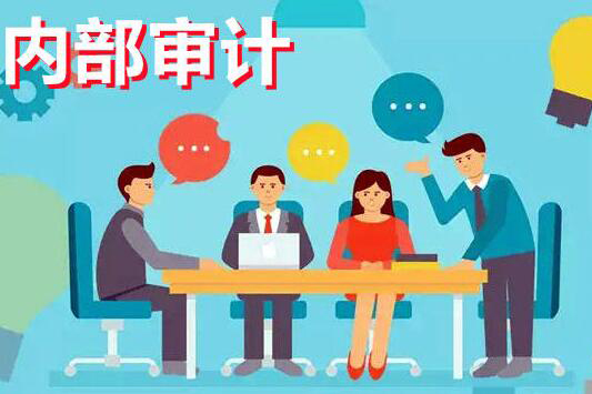 中華會計網(wǎng)校：內(nèi)部審計講解