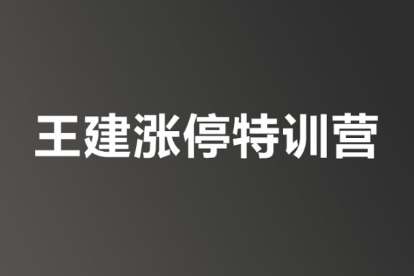 王建漲停特訓營