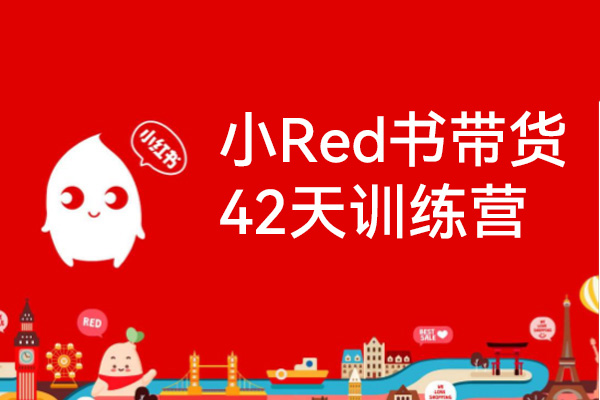 小Red書帶貨42天訓練營（2.0版），普通人月收過萬的帶貨課，零門檻無壓貨