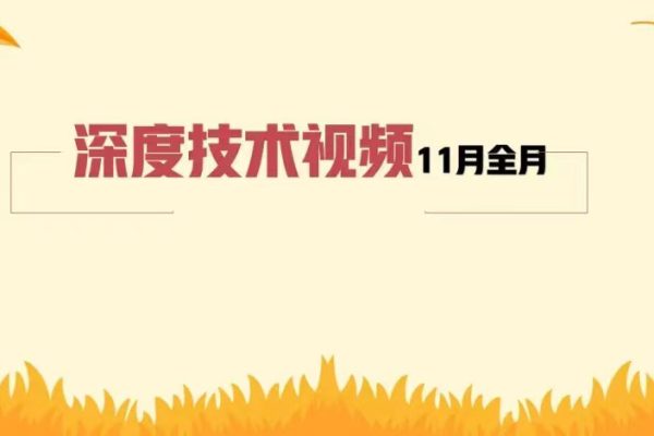 天機短線深度技術視頻11月全月