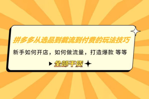 拼多多從選品到截流到付費的玩法技巧，助你掌握拼多多截流自然流量玩法，高投產(chǎn)玩法