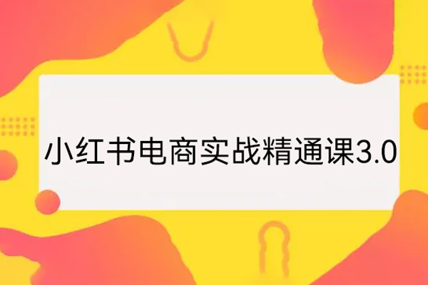 小紅書電商實戰精通課3.0，抓住小紅書平臺的風口，不錯過有一個賺錢的機會