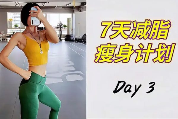 DY七日瘦身美體計劃 東方舞基礎(chǔ)梳理