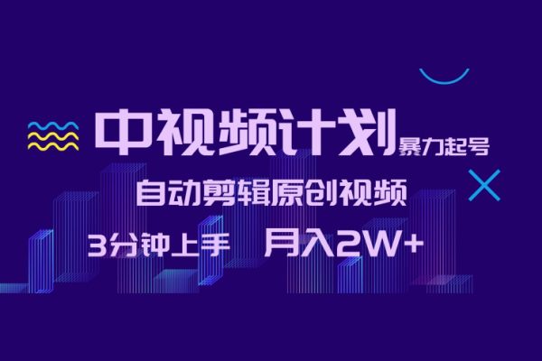 中視頻計(jì)劃暴力起號(hào)，自動(dòng)剪輯原創(chuàng)視頻，3分鐘上手，月入2W+【揭秘】