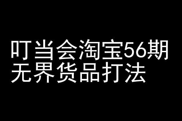 叮當(dāng)會(huì)淘寶56期：無界貨品打法