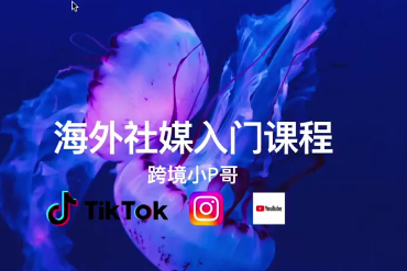 跨境小P哥海外社媒運(yùn)營課，理論+演練，全流程