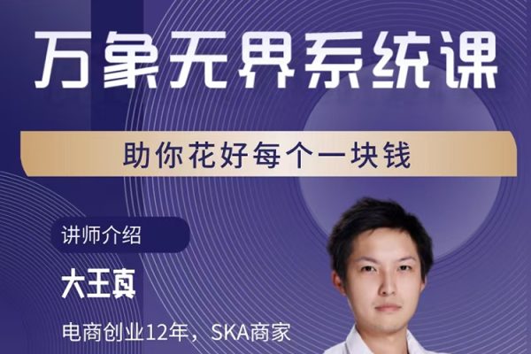 大王真萬(wàn)象無(wú)界精準(zhǔn)投流系統(tǒng)課，從關(guān)鍵詞到推薦，從萬(wàn)象臺(tái)到達(dá)摩盤(pán)，從底層原理到實(shí)操步驟