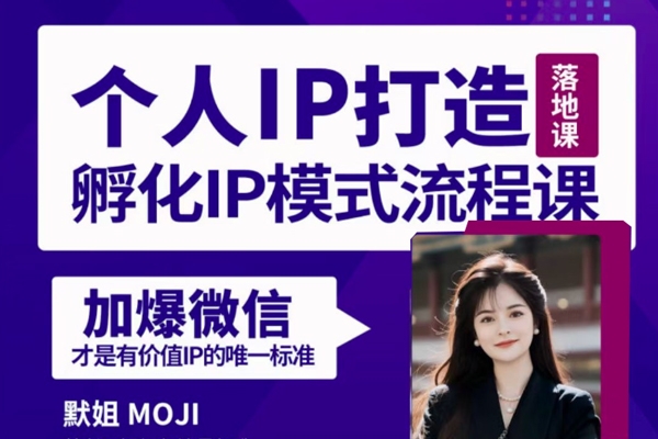 默姐·老板商業(yè)IP孵化流程課，30天IP出圈計劃，完整的個人IP短視頻落地課程