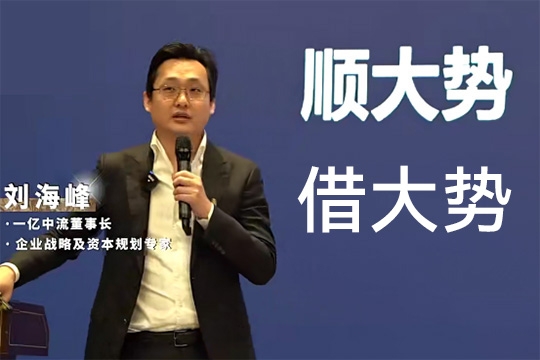 劉海峰老師順勢借力——企業高維戰略方法論（58節）