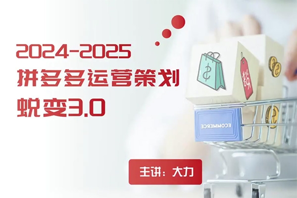 2024拼多多運營策略蛻變3.0，0
