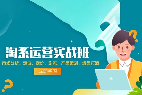 淘寶天貓運(yùn)營(yíng)實(shí)操課，市場(chǎng)分析、定位、定價(jià)、引流、產(chǎn)品策劃，爆品打造