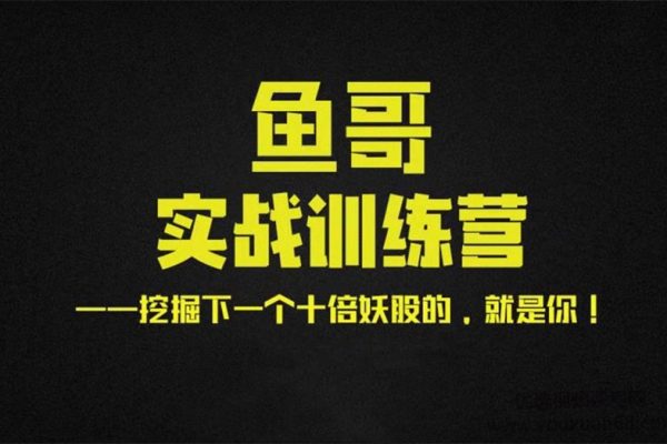 魚(yú)哥實(shí)戰(zhàn)超短訓(xùn)練營(yíng)視頻+講義