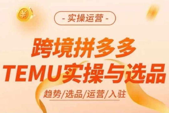 跨境拼多多TEMU實操與選品，多多temu跨境選品運營實操