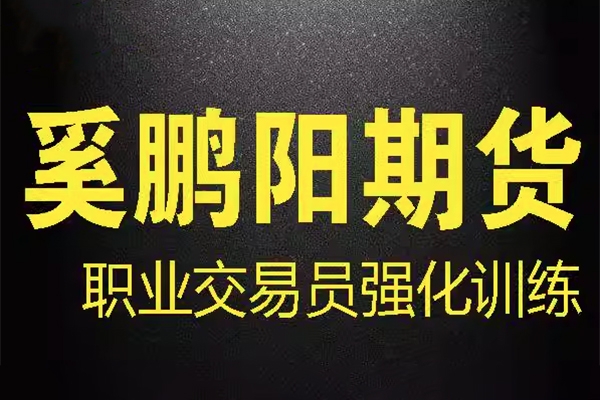 奚鵬陽期貨課程 職業(yè)交易員強(qiáng)化訓(xùn)練營(yíng) 買賣核心技術(shù)視頻全套