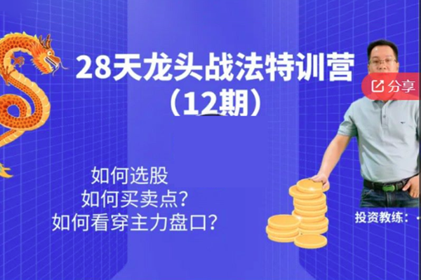 天智一飛28天龍頭戰(zhàn)法特訓(xùn)營（12期）