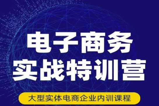 最新系統電商實戰玩法，31天實戰分享，實戰出真知，培訓電商公司團隊