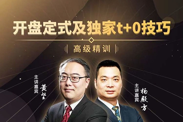 楊殿方 開(kāi)盤(pán)定式及獨(dú)家t+0技巧2023