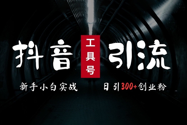 2024最新抖音工具號(hào)引流玩法，高效日引300+創(chuàng)業(yè)粉，當(dāng)天變現(xiàn)5k，小白也可成為實(shí)戰(zhàn)高手【項(xiàng)目拆解】