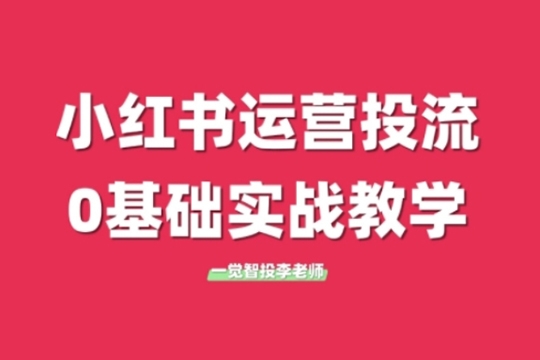 李老師小紅書運營投流，小紅書廣告投放從0到1的實戰(zhàn)課，學完即可開始投放
