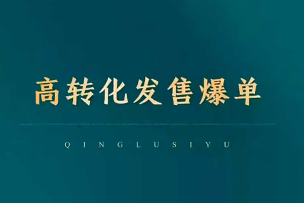 高轉(zhuǎn)化發(fā)售爆單，引爆私域成交，打破運(yùn)營(yíng)全鏈