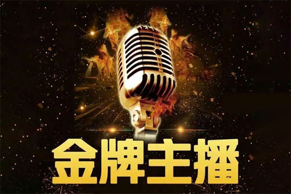 謝大嘴2025年進階金牌主播課，抖音的推流算法邏輯