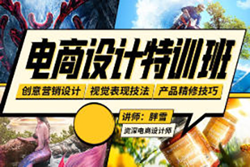 胖雪電商設計速成班
