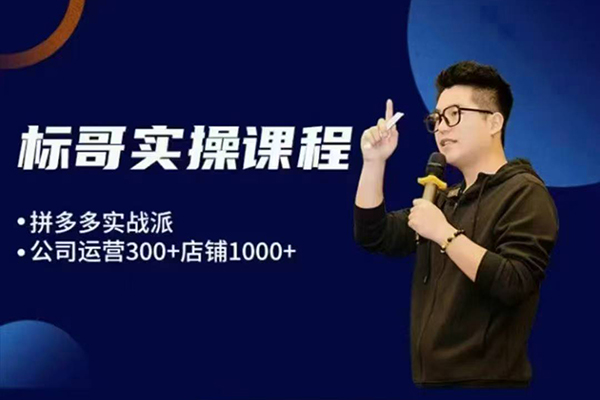 標哥電商-多多飛龍在天玩法真實案例