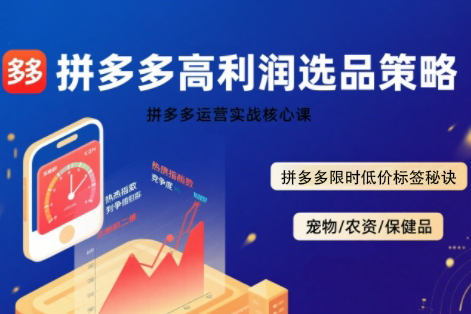 久號老師·拼多多選品暴利技術實戰課，拼多多高利潤選品策略，拼多多限時低價標簽秘訣
