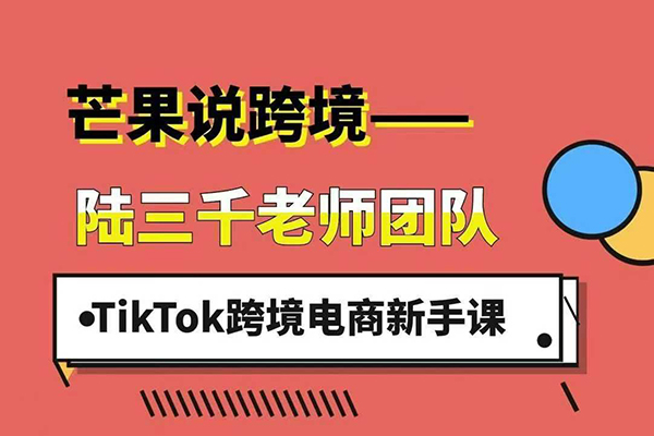 陸三千TikTok跨境電商新手課，TikTok從入門到盈利的全流程！2025年最新最有效的運(yùn)營策略和平臺規(guī)則。